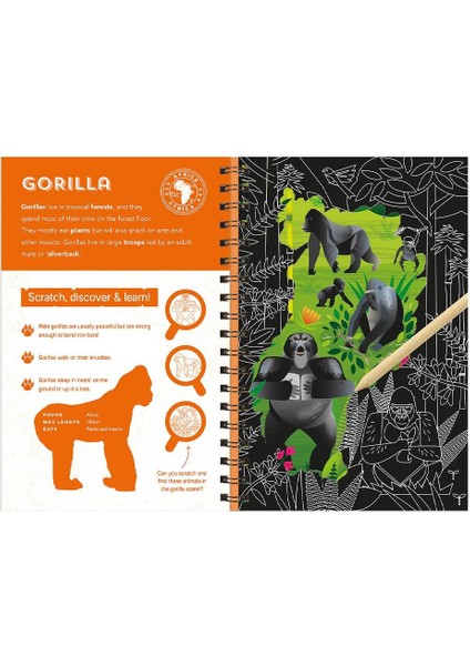 Animals Scratch Discover And Learn