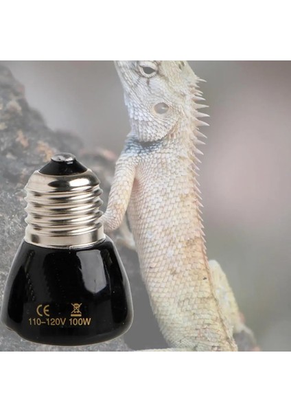 75W Tarzı Pet Isıtma Ampul E27 25W 50W 75W 100W Mini Kızılötesi Seramik Verici Isı Lamba Ampulü Siyah Sürüngen Pet Brooder Ekipmanları (Yurt Dışından) modelleri