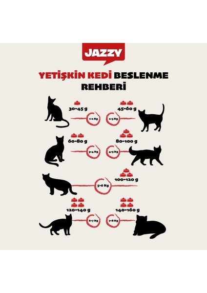 General Cat Yetişkin Kedi Maması Somonlu 1,2 kg