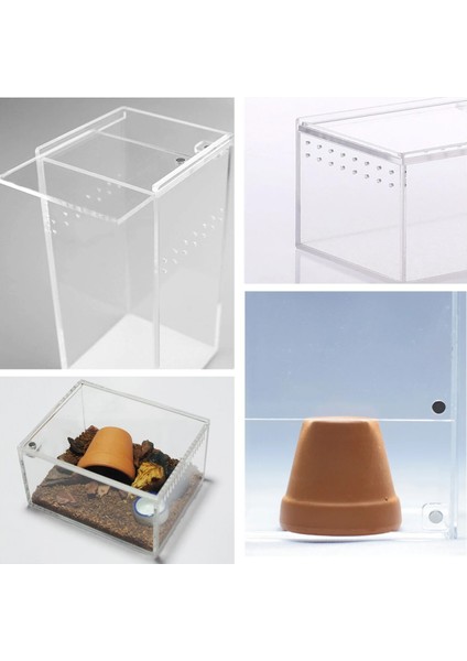 Yatay Stil Akrilik Teraryum Sürüngen Böcek Tarantula Muhafaza Tankı Salyangoz Örümcek Habitat Omurgasızlar Yetiştiriciliği Besleme Kutusu, 4 "x3.2" X2.4" (Yurt Dışından) modelleri