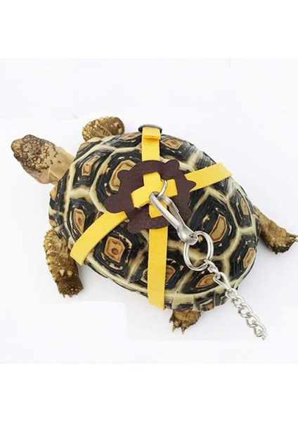 Mavi Stil Tortoiseturtle Pet Yürüyüş Kontrol Halat Göğüs Yaka Için Deri Koşum Kayışı (Yurt Dışından) fiyatları