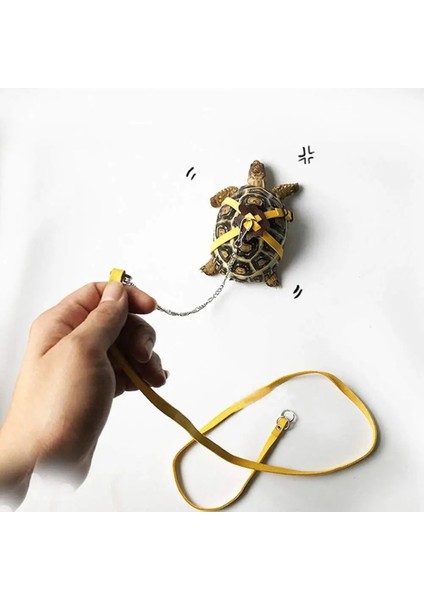Mavi Stil Tortoiseturtle Pet Yürüyüş Kontrol Halat Göğüs Yaka Için Deri Koşum Kayışı (Yurt Dışından) modelleri