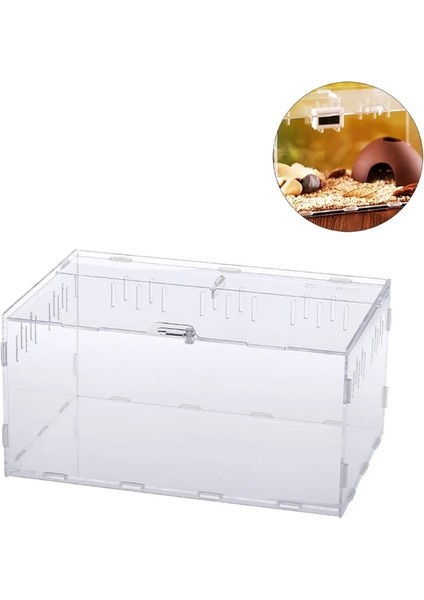 10X8X7 Tarzı Örümcekler Küçük Kertenkeleler Için Sürüngenler Besleme Kutusu Akrilik Teraryum Kapları (Yurt Dışından)