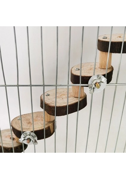 D Tarzı Hamster Ahşap Merdiven Oyuncak Merdiven Tırmanma Kuşlar Papağan Egzersiz Tünek Standı Platformu Diş Bakımı Molar Oyuncaklar Kafes Aksesuarları (Yurt Dışından) modelleri