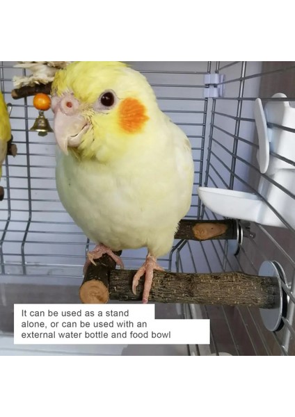 S Tarzı Kuş Standı Sopa U Şekli Doğal Ahşap Kafes Aksesuarları Papağan Tırmanma Tünek Standları Parakeets Cockatiels Için Kuş Malzemeleri (Yurt Dışından) fırsatları