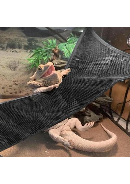 Yeşil Stil Sürüngen Hamak Şezlong Salıncak Aksesuarları Büyük Küçük Sakallı Ejderhalar Anole Geckos Kertenkeleler Veya Yılanlar Için Set (Yurt Dışından) fiyatları