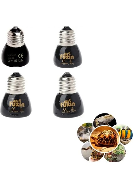75W Tarzı Seramik Isı Lambası Sürüngen Isı Verici Lamba Küçük Sürüngen Kertenkele Kaplumbağa Brooder Ampul Için Işık Yok Pet Kümesi Isıtıcı (Yurt Dışından)