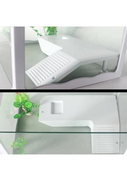 Yeşil Tarzı Kaplumbağa Kurbağa Yüzen Ada Sucul Hayvan Sürüngen Malzemeleri Akvaryum Süs Kaplumbağa Iskelesi Sürüngen Habitat 30*23*5 cm (Yurt Dışından) modelleri