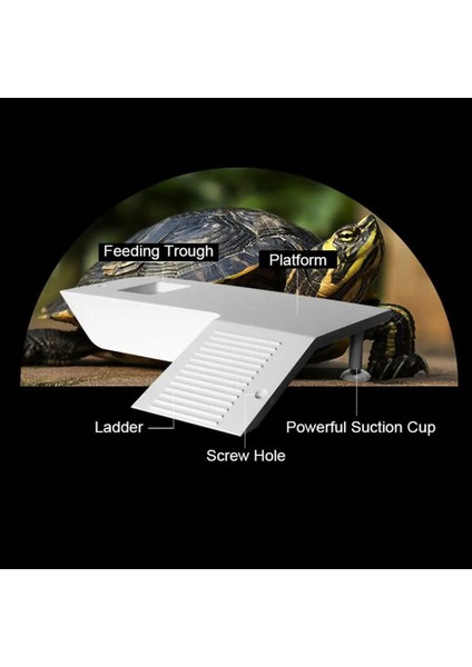 Yeşil Tarzı Kaplumbağa Kurbağa Yüzen Ada Sucul Hayvan Sürüngen Malzemeleri Akvaryum Süs Kaplumbağa Iskelesi Sürüngen Habitat 30*23*5 cm (Yurt Dışından) fırsatları
