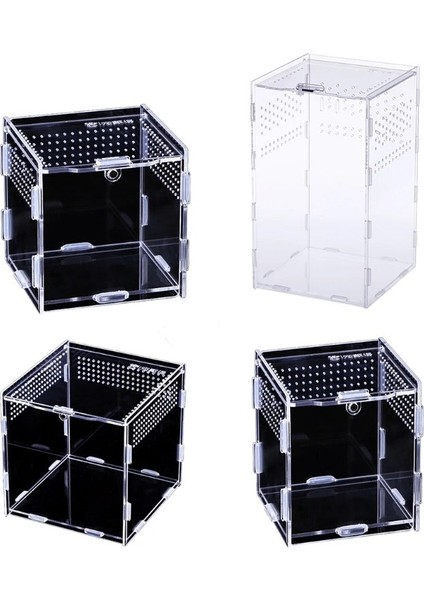 M Tarzı Sürüngen Besleme Kutusu Yetiştirme Vaka Taşınabilir Akrilik Teraryum Şeffaf Böcek Habitat Mini Pet Kertenkele Kırkayak 4 Boyutları (Yurt Dışından) indirimleri