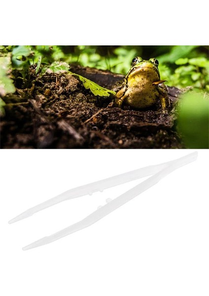 M Plastik Cımbız Uzun Tek Kullanımlık Cımbız Araçları Küçük Boncuk El Sanatları Dıy Takı Yapımı Için Forseps (Yurt Dışından)