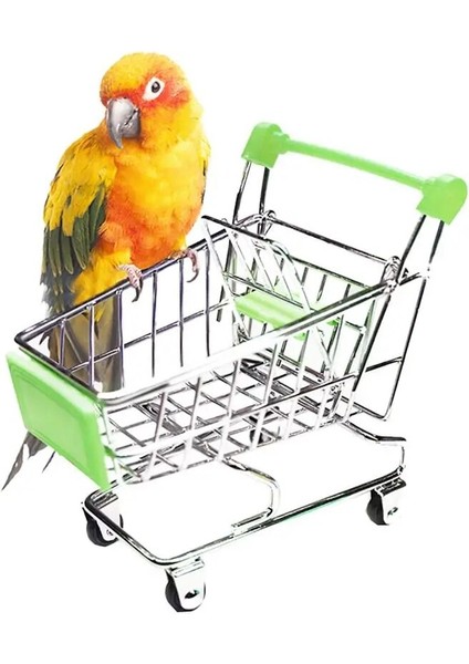 D Tarzı Paspas Arabası Alaşım Kuş Alışveriş Sepeti Mini Süpermarket Alışveriş Sepeti Arabası Kuş Oyuncakları Papağan Hamster Küçük Evcil Hayvan Malzemeleri (Yurt Dışından)