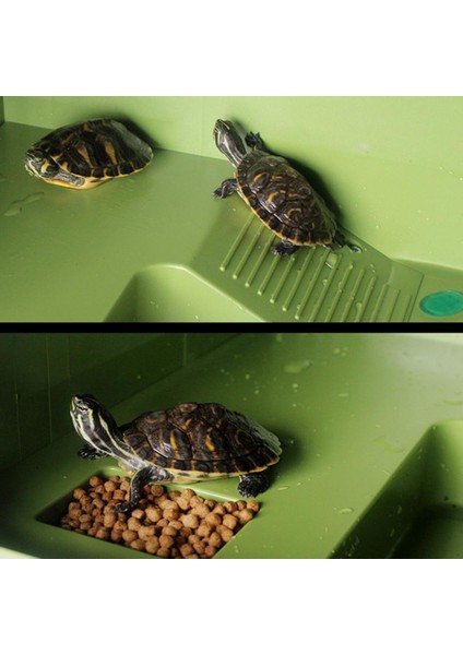 Yeşil Tarzı Su ve Kara Eğim Kutusu Besleme Tırmanma Platformu Pet Kaplumbağa Kurbağa Hamster Kafesi Akrep Kertenkele Örümcek Yetiştiriciliği Kutusu Aksesuarları (Yurt Dışından) modelleri
