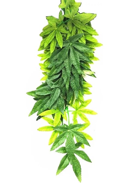 No.1 Stili 12 Inç Sürüngen Dıy Balık Tankı Simüle Bitki Vantuz ile Plastik Sahte Asılı Evcil Hayvan Malzemeleri Gerçekçi Yapay Asma (Yurt Dışından)