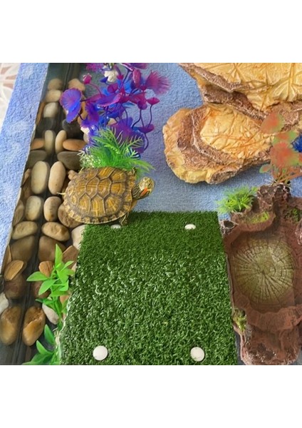 Yeşil Stil L Boyutu Çim Kaplumbağası Basking Platformu Kaplumbağa Dinlenme Basking Platformu, Kaplumbağa Tankı Için Simülasyon Çim Kaplumbağa Rampası, Sürüngen (Yurt Dışından)