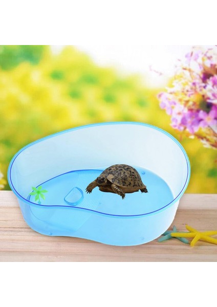 Xl Tarzı Büyük Kapasiteli Şeffaf Kaplumbağa Tankı Basking Platformu ile Akvaryum Tırmanma Hayvan Yetiştirme Tankı Kaplumbağa Yetiştirme Kutusu (Yurt Dışından)
