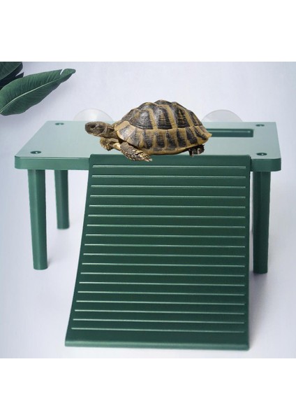 Beyaz Stil Kaplumbağa Basking Platformu Çapaksız Pürüzsüz Yüzey Eğlenceli Tırmanma Merdiveni Akvaryum Peyzaj Dekorasyon Habitat Dekorları (Yurt Dışından) fiyatları