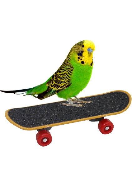 Pet Kuş Eğitim Papağan Komik Istihbarat Mini Kaykay Aracı Parakeet Cockatiels Eğitim Malzemeleri 1 Adet (Yurt Dışından)