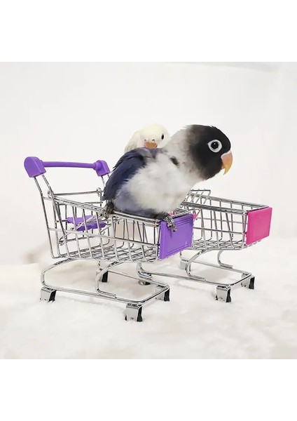 F Tarzı Paspas Arabası Alaşım Kuş Alışveriş Sepeti Mini Süpermarket Alışveriş Sepeti Arabası Kuş Oyuncakları Papağan Hamster Küçük Evcil Hayvan Malzemeleri (Yurt Dışından) indirimleri