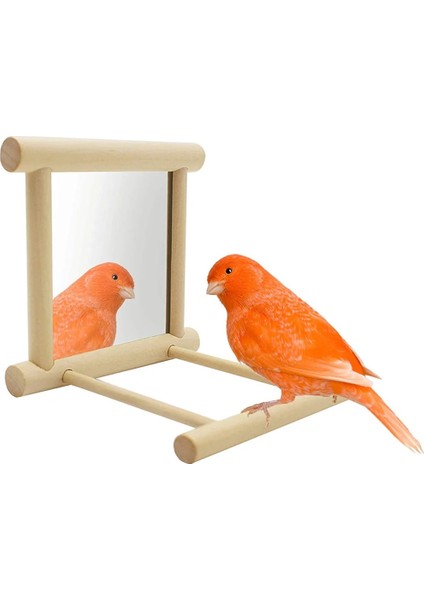 Beyaz Stil Kuş Ayna Levrek Kuş Levrek Ayna Oyuncak Standı Papağan Parakeets Için Kuş Oyuncak Ayna Kuş Standı (Yurt Dışından) modelleri
