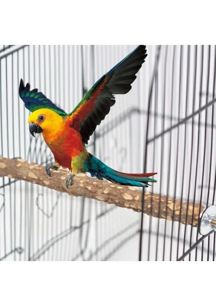 10X2.5CM Tarzı Kuşlar Oyuncaklar Komik Cockatiel Parakeet Conure Kuşlar Isırıkları Oyuncak Papağan Salıncak Kafesleri Çiğneme Oyuncaklar Akrilik Asma Köprü Tırmanma Halatı (Yurt Dışından)