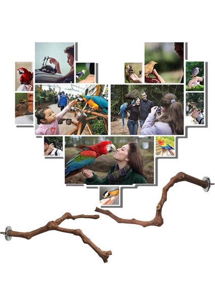 Bir Stil Evcil Hayvan Papağan Kuş Ayakta Sopa Üzüm Ahşap Direk Kuş Sultan Papağanı Parakeet Levrek Isırma Pençesi Taşlama Oyuncak Kuş Kafesi Aksesuarları (Yurt Dışından) fiyatları