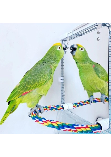 13X14X20CM Tarzı Papağan Oyuncak Akrilik Kuş Ayna Halatlı Tünek Kuş Oyuncakları Salıncak Rahat Levrek Parakeet Cockatiel Conure Muhabbet Kuşları Kanaryalar (Yurt Dışından) fiyatları