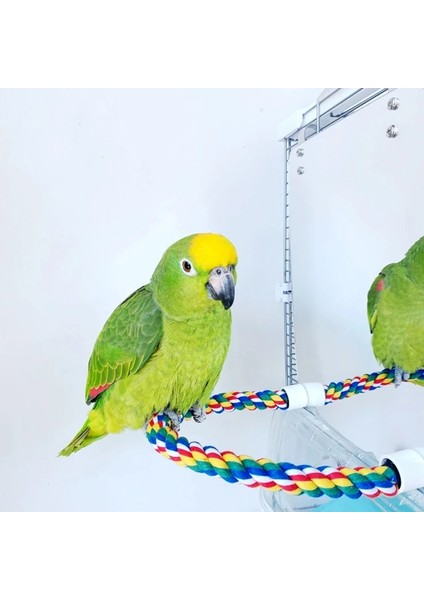 13X14X20CM Tarzı Papağan Oyuncak Akrilik Kuş Ayna Halatlı Tünek Kuş Oyuncakları Salıncak Rahat Levrek Parakeet Cockatiel Conure Muhabbet Kuşları Kanaryalar (Yurt Dışından) indirimleri