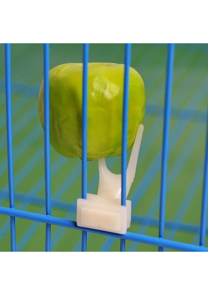 Küçük Stil 1 Adet Meyve Çatalı Papağan Pet Kuş Plastik Gıda Tutucu Hamster Sıçan Için Kafes Üzerinde Besleme 2 Boyutu Sl Meyve Çatalı Papağan Meyve Çatalı (Yurt Dışından) fiyatları