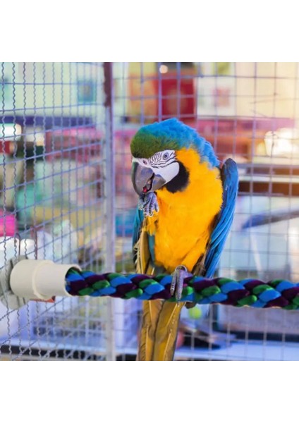 55CM Tarzı Esnek Kuş Standı Oyuncak Asılı Örgülü Kuş Çiğneme Halatı Kavisli Kuş Standı Levrek Kafes Oyuncak Papağanlar Muhabbet Kuşları Parakeets Eğitim Oyuncak (Yurt Dışından) fırsatları