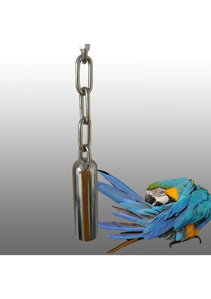 Pet Kuş Paslanmaz Çelik Çan Oyuncaklar Çiğnemek Papağan Asılı Salıncak Sultan Papağanının Parakeet (Yurt Dışından)