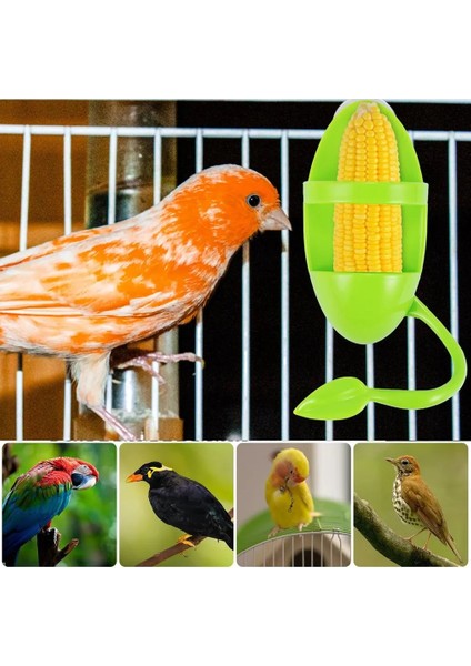 Yeşil Stil 1 Adet Kuş Çiğneme Oyuncağı Papağan Parakeet Muhabbet Kuşu Sultan Papağanı Kafesi Hamak Salıncak Oyuncak Asılı Salıncaklar Kafesi Kuş Oyun Oyuncak Malzemeleri (Yurt Dışından) indirimleri