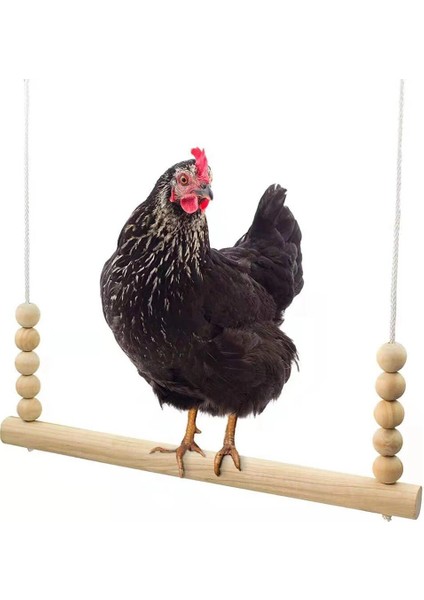 Egzersiz Kümesi Dinlenme Tavuk Kuş Isırığı Direnç Eğlenceli Arka Bahçe Kolay Kurulum Ahşap Pet Salıncak Oyuncak Levrek Asılı Kafes Aksesuarları (Yurt Dışından)