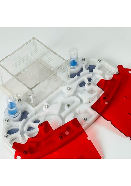 Beyaz Stil 24X18X6,5CM Büyük Boy 24*18 cm Dural Mosturing Genişleme Yenı Karınca Çiftliği Formicarium Kraliçe Karıncalar Canlı Koloni Yuva Muhafaza Akrilik (Yurt Dışından)