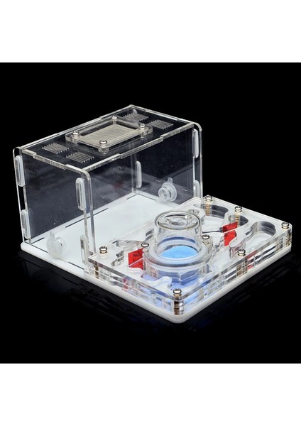 Beyaz Stil 12X15X7,5 cm Dıy Akrilik Karınca Çiftliği Düz Karınca Yuvası Karınca Evi Pet Karınca Yuvası Cam Nemlendirici Su Kulesi Atölye Besleme Alanı 12*15*7.5 cm (Yurt Dışından) modelleri