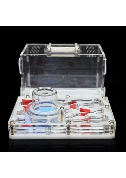 Beyaz Stil 12X15X7,5 cm Dıy Akrilik Karınca Çiftliği Düz Karınca Yuvası Karınca Evi Pet Karınca Yuvası Cam Nemlendirici Su Kulesi Atölye Besleme Alanı 12*15*7.5 cm (Yurt Dışından) fırsatları