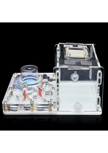 Beyaz Stil 12X15X7,5 cm Dıy Akrilik Karınca Çiftliği Düz Karınca Yuvası Karınca Evi Pet Karınca Yuvası Cam Nemlendirici Su Kulesi Atölye Besleme Alanı 12*15*7.5 cm (Yurt Dışından) indirimleri
