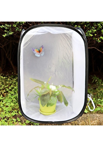 40X40X60CM Stili Yetiştirme Kafesleri Ağ Bezi Peygamber Devesi Sopa Böcek Kelebek Kafesi Muhafaza Muhafazası (Yurt Dışından)