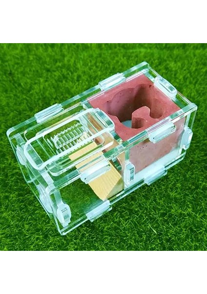 KC-001 Tarzı 9X5X5CM Karınca Yuvası Alçı ve Akrilik Karınca Evi Genç Kraliçeler ve Küçük Koloniler Için Doğum Günü Hediyesi (Yurt Dışından) fırsatları