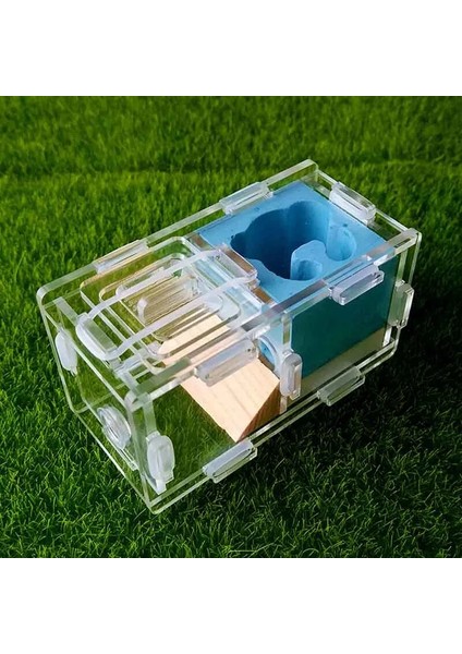 KC-001 Tarzı 9X5X5CM Karınca Yuvası Alçı ve Akrilik Karınca Evi Genç Kraliçeler ve Küçük Koloniler Için Doğum Günü Hediyesi (Yurt Dışından) indirimleri