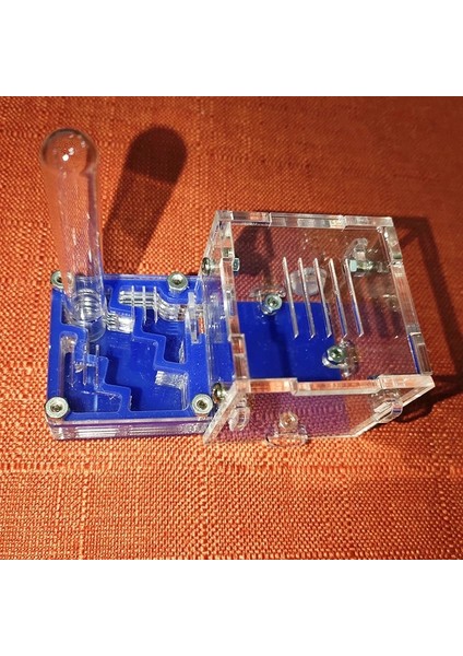 Renk-09 Tarzı Mini Yeni Kraliçe Karınca Yuvası Karınca Atölyesi Akrilik Çiftlik Küçük Uçak Yuvası Karınca Aksesuarları (Yurt Dışından)