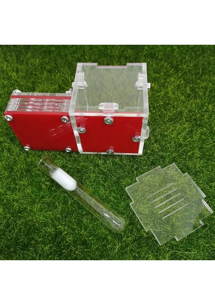 Renk-09 Tarzı Mini Yeni Kraliçe Karınca Yuvası Karınca Atölyesi Akrilik Çiftlik Küçük Uçak Yuvası Karınca Aksesuarları (Yurt Dışından)