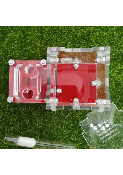 Renk-09 Tarzı Mini Yeni Kraliçe Karınca Yuvası Karınca Atölyesi Akrilik Çiftlik Küçük Uçak Yuvası Karınca Aksesuarları (Yurt Dışından)