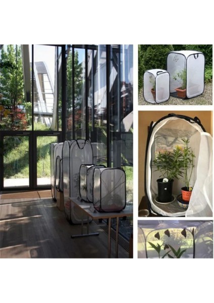 30X30X30CM Stili Yetiştirme Kafesleri Ağ Bezi Peygamber Devesi Sopa Böcek Kelebek Kafesi Muhafaza Muhafazası (Yurt Dışından) modelleri