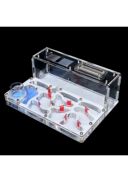 Sarı Stil 20X15X7,5CM Yeni Dıy Akrilik Karınca Yuvası Büyük Düz Karınca Çiftliği Besleme Alanı ile Büyük Karınca Evi Pet Karınca Yuvası ile Atölye Kalesi 15*20*7.5 cm (Yurt Dışından) fiyatları