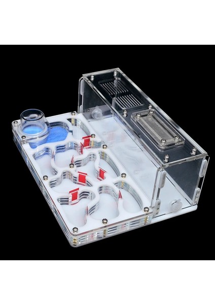 Sarı Stil 20X15X7,5CM Yeni Dıy Akrilik Karınca Yuvası Büyük Düz Karınca Çiftliği Besleme Alanı ile Büyük Karınca Evi Pet Karınca Yuvası ile Atölye Kalesi 15*20*7.5 cm (Yurt Dışından) modelleri