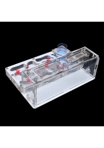Sarı Stil 20X15X7,5CM Yeni Dıy Akrilik Karınca Yuvası Büyük Düz Karınca Çiftliği Besleme Alanı ile Büyük Karınca Evi Pet Karınca Yuvası ile Atölye Kalesi 15*20*7.5 cm (Yurt Dışından) indirimleri