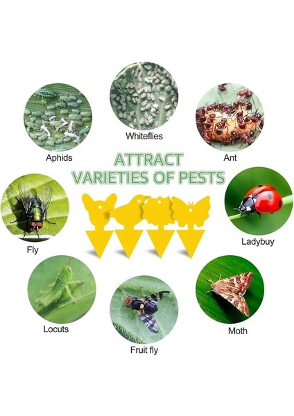 Çiçek Tarzı 50 Parça Tineli Böcek Tuzağı Bitki Haşere Kontrol Yakalayıcı Bahçe Malzemeleri Çift Taraflı Sarı Plastik Böcek Yapışkan Tahta Böcek (Yurt Dışından)
