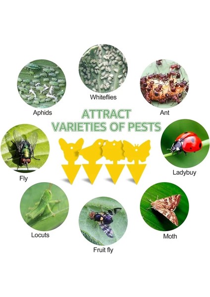 Kelebek Tarzı 50 Parça Ticky Böcek Tuzağı Böcek Yapışkan Tahta Çift Taraflı Sarı Plastik Bitki Haşere Kontrol Yakalayıcı Bahçe Malzemeleri Böcek (Yurt Dışından) fiyatları