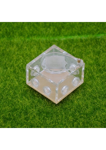 5X3.3X5CM Tarzı Çift Tüp Karınca Çiftliği Plastik Şeffaf Sürüngen Teraryum Genç Koloniler Için Messorlar Böcek Malzemeleri (Yurt Dışından)